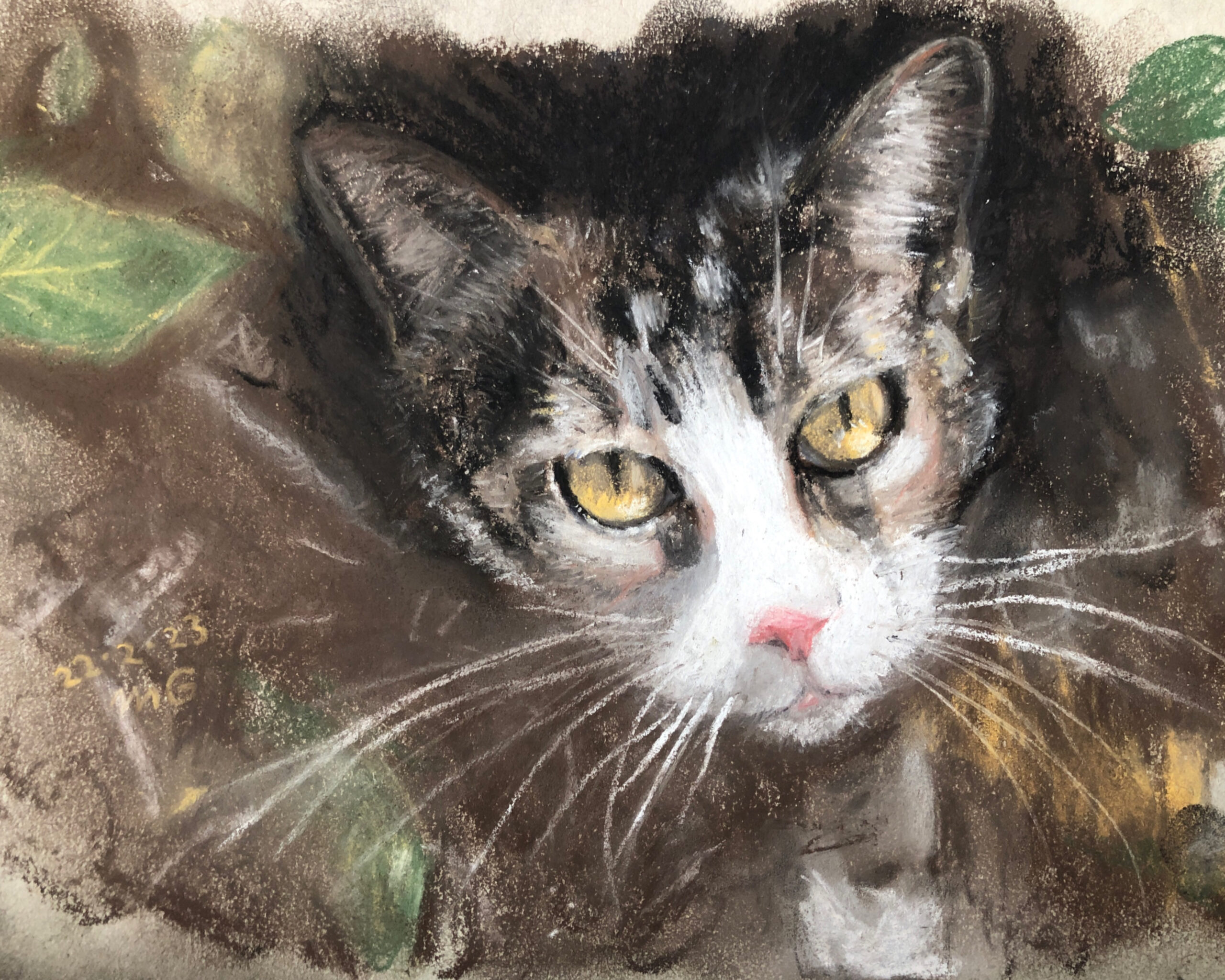 Billy cat illustration using soft pastels by Mina Grieve